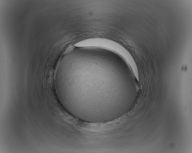 X0000095120037200712301811