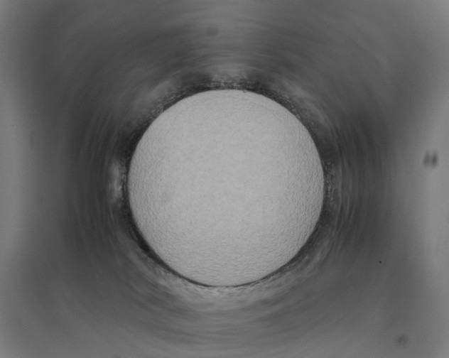 X0000095120038200712301811