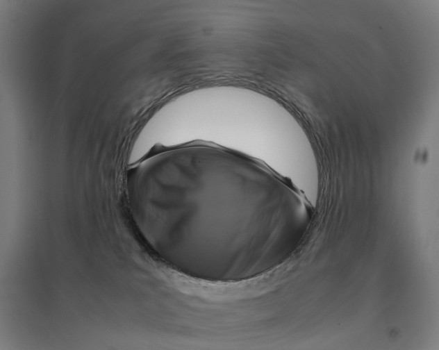 X0000095120039200712301811