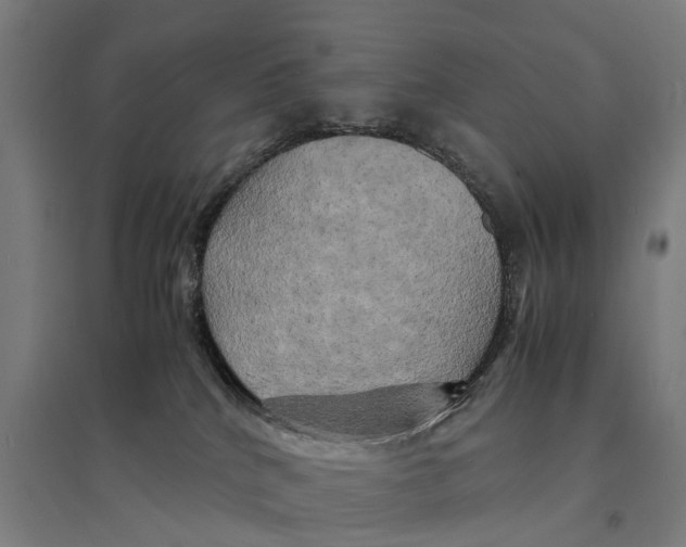 X0000095120040200712301811