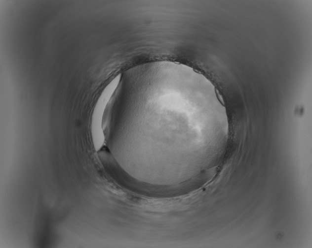 X0000095120041200712301811