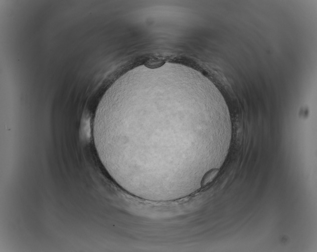 X0000095120042200712301811