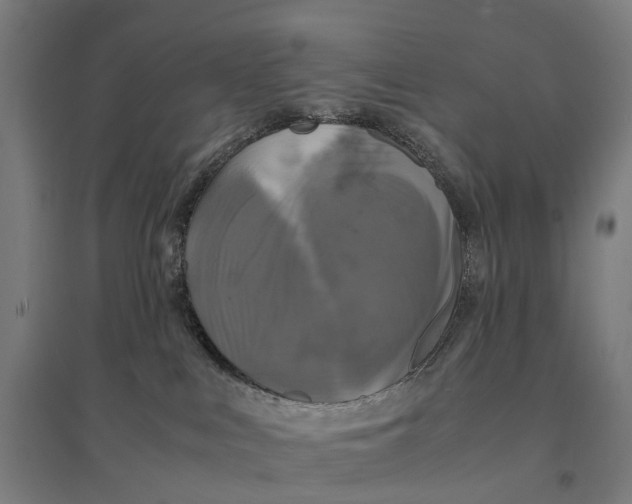 X0000095120043200712301811