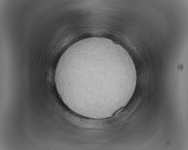 X0000095120044200712301811