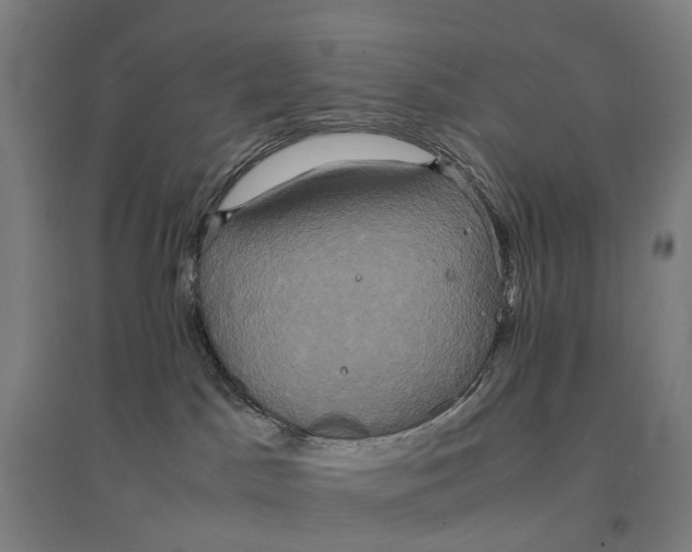 X0000095120045200712301811