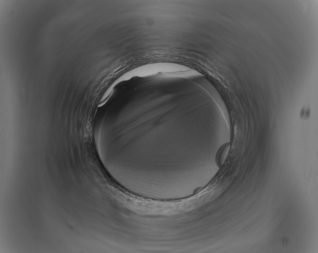 X0000095120048200712301811