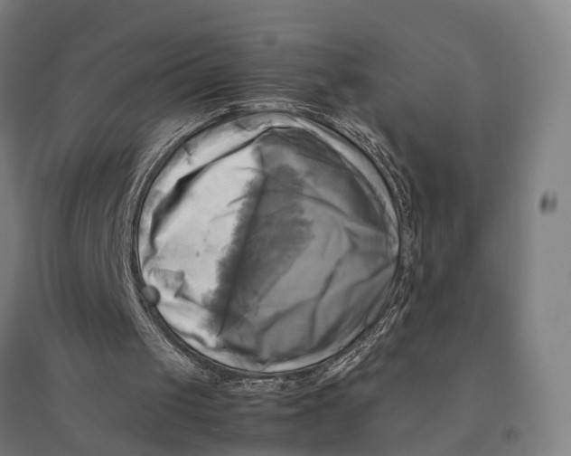 X0000095120049200712301810