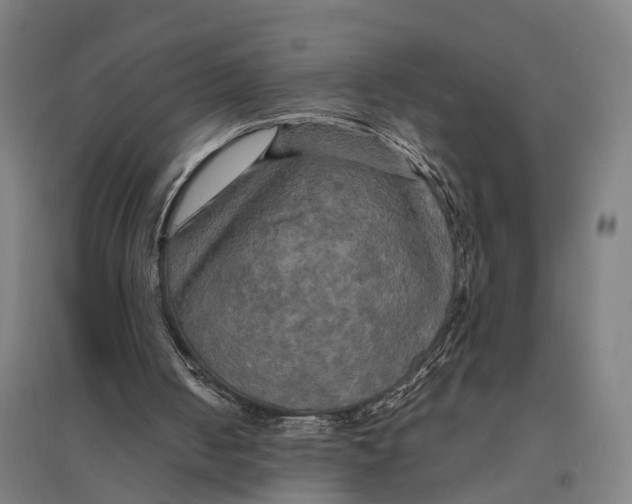 X0000095120050200712301810