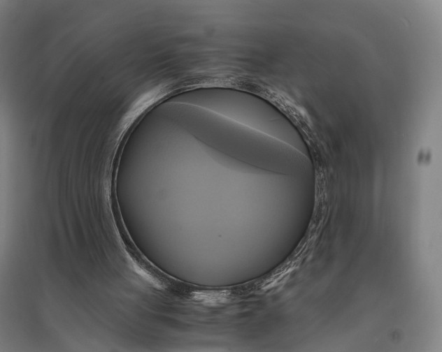 X0000095120051200712301810