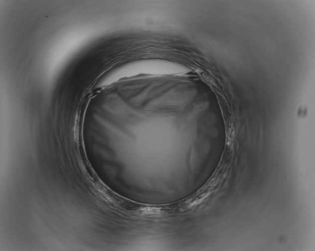 X0000095120052200712301810