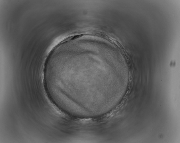 X0000095120054200712301810