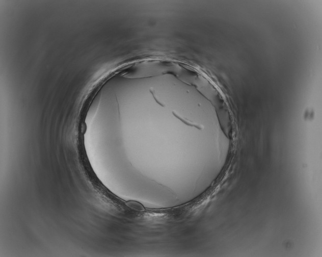 X0000095120055200712301810