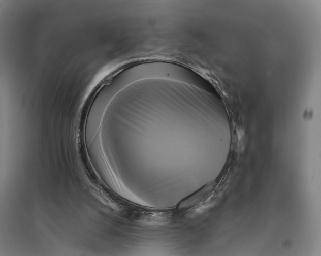 X0000095120056200712301810