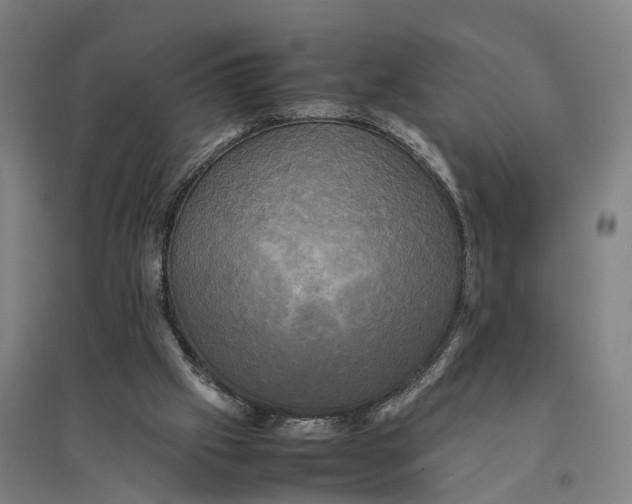 X0000095120057200712301810