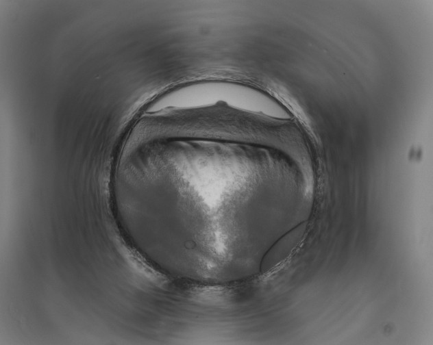 X0000095120058200712301810