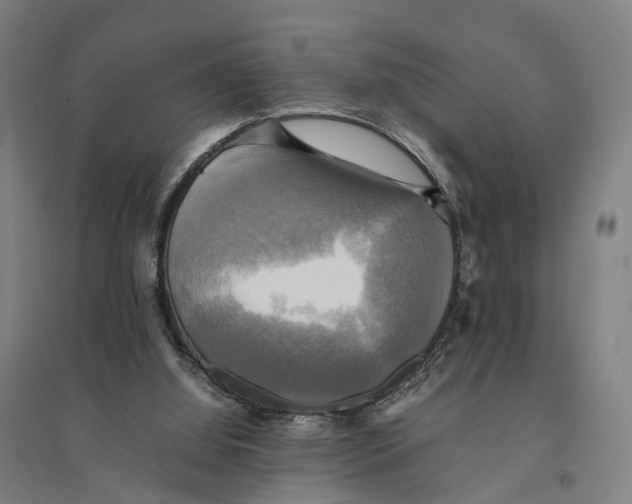 X0000095120060200712301810