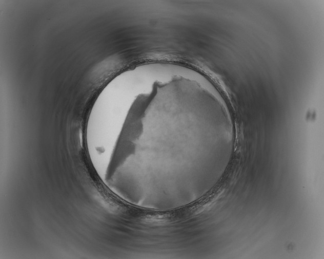 X0000095120061200712301810