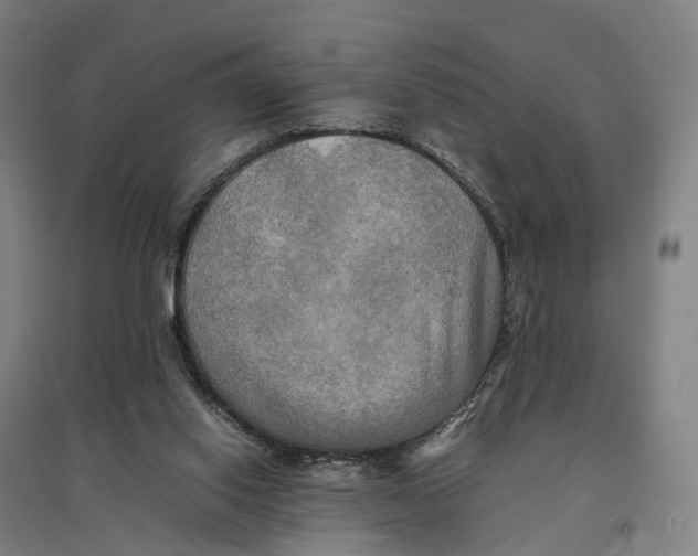 X0000095120062200712301810