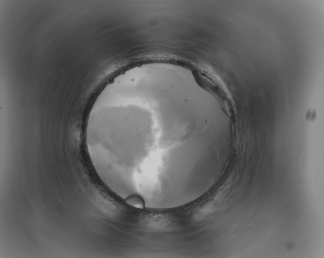 X0000095120063200712301810