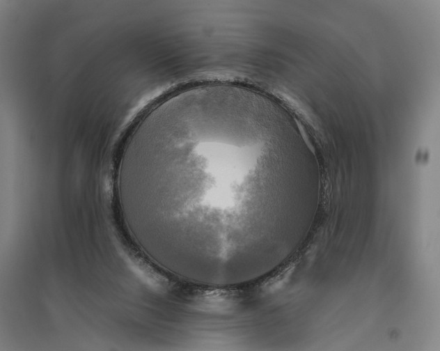 X0000095120064200712301810