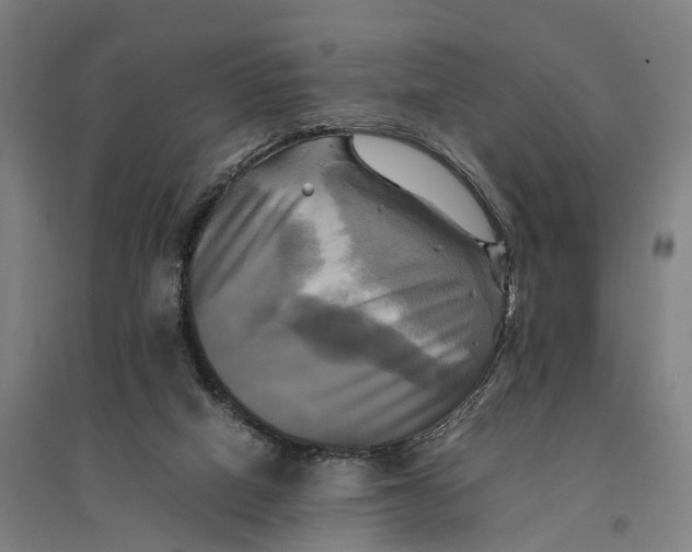 X0000095120066200712301810