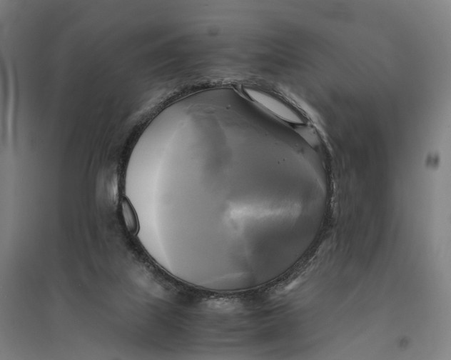 X0000095120067200712301811