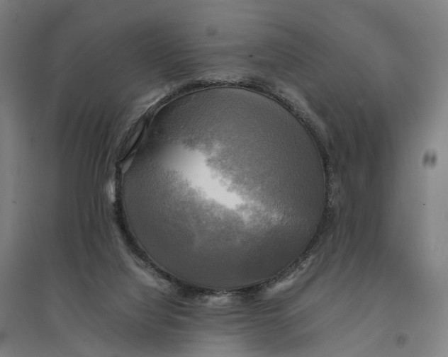 X0000095120068200712301811