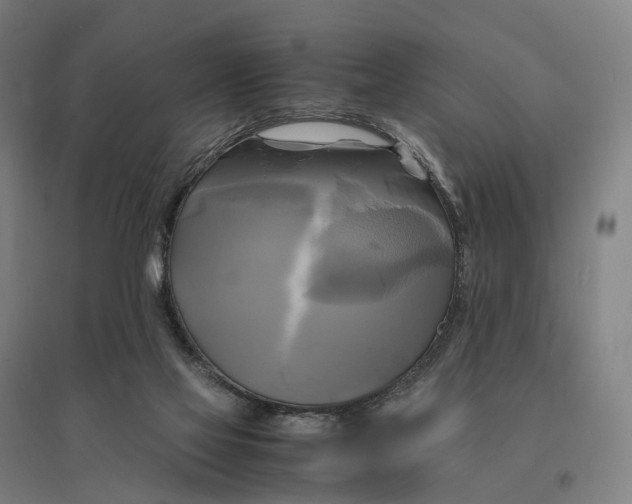 X0000095120069200712301811