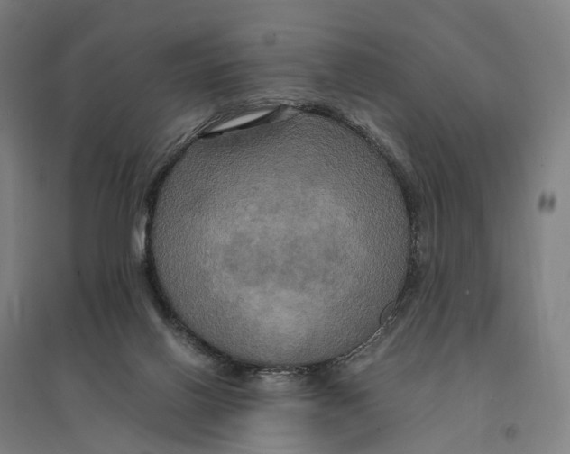 X0000095120070200712301811