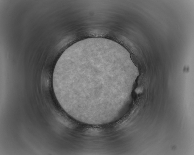 X0000095120071200712301811