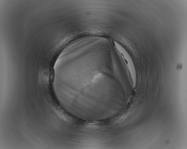 X0000095120072200712301811