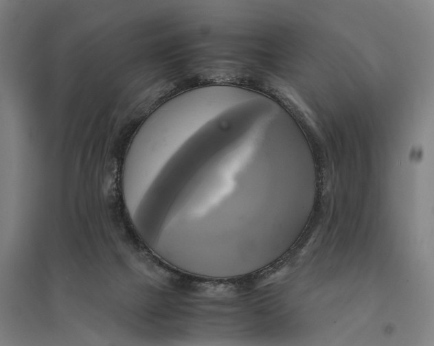 X0000095120073200712301811