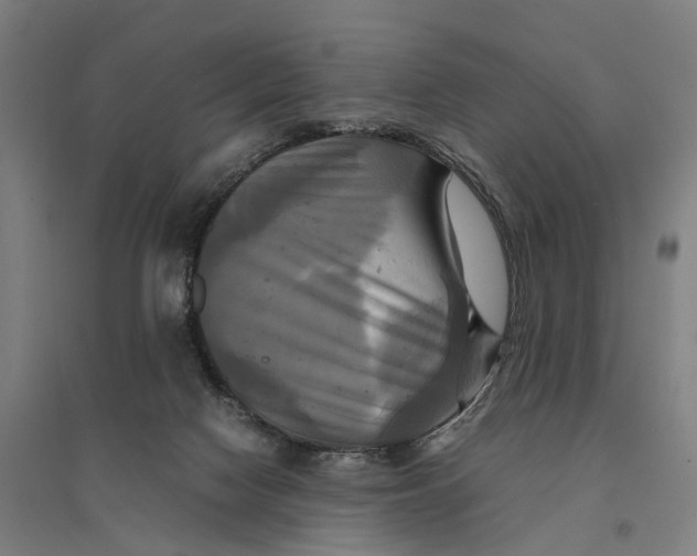 X0000095120074200712301811