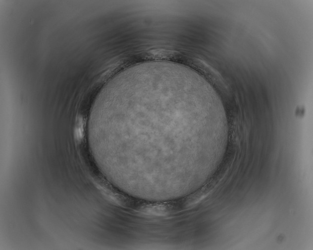 X0000095120075200712301811