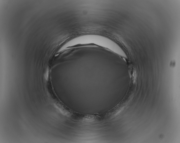 X0000095120076200712301811