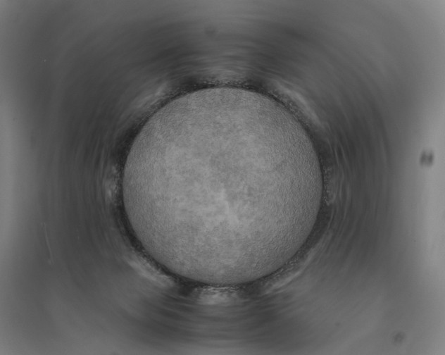 X0000095120077200712301811