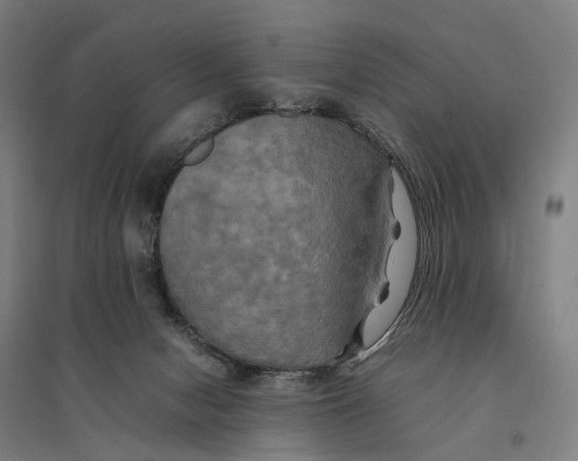 X0000095120078200712301811