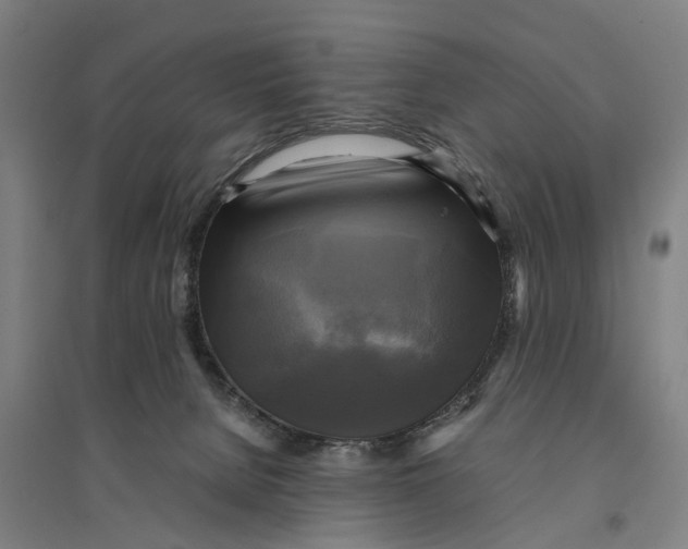 X0000095120080200712301811