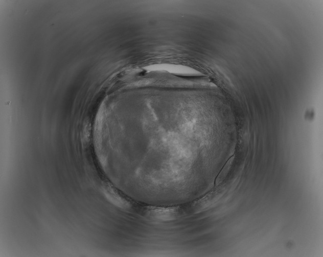 X0000095120081200712301811