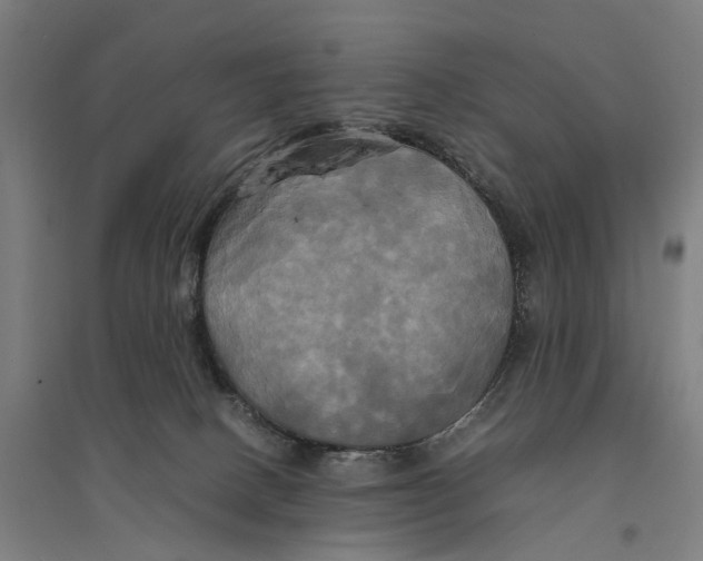 X0000095120082200712301811