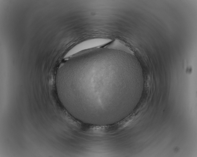 X0000095120084200712301811