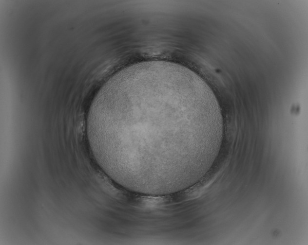 X0000095120085200712301811