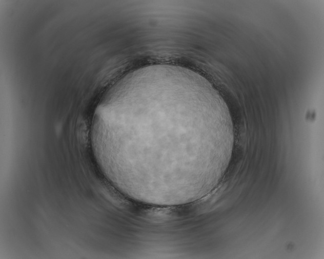 X0000095120086200712301811