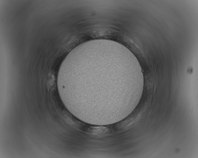 X0000095120087200712301811