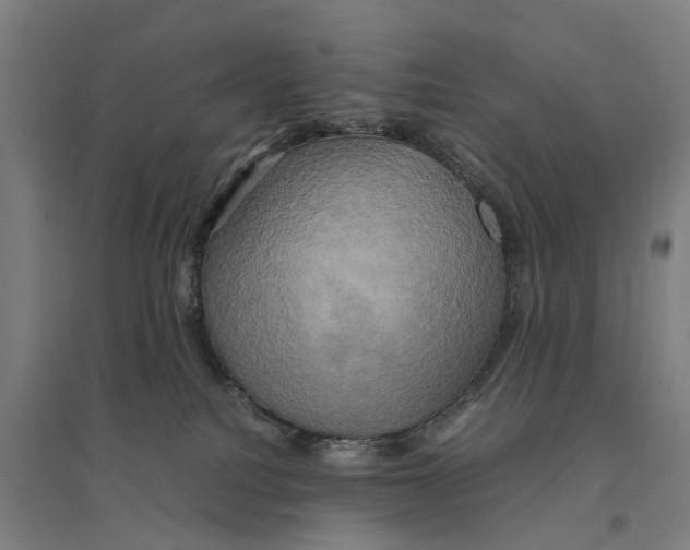 X0000095120088200712301811