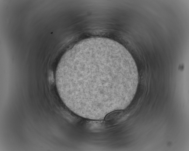 X0000095120089200712301811