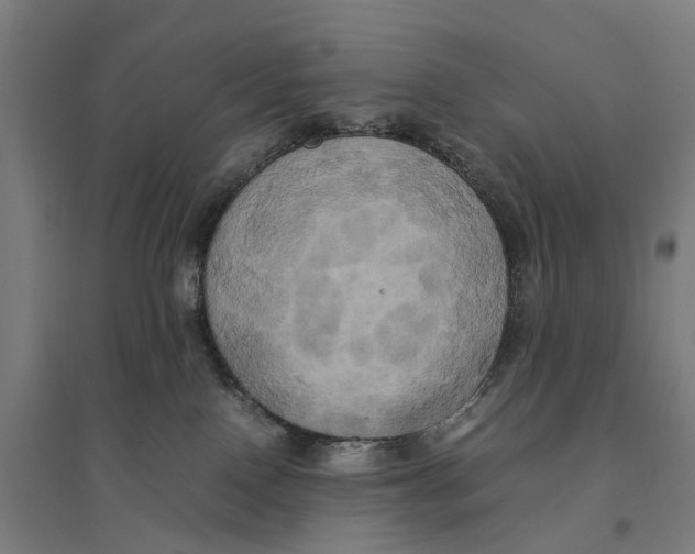 X0000095120090200712301811