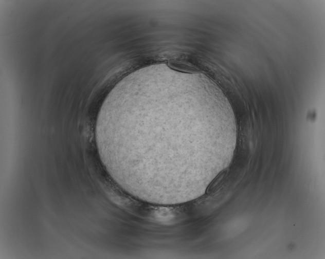 X0000095120091200712301811