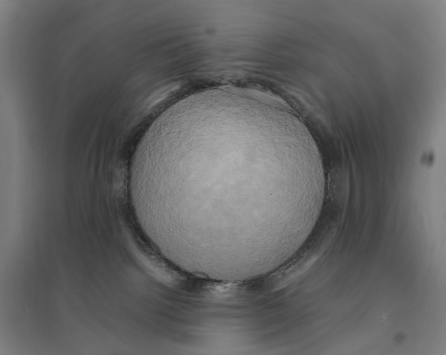 X0000095120092200712301811