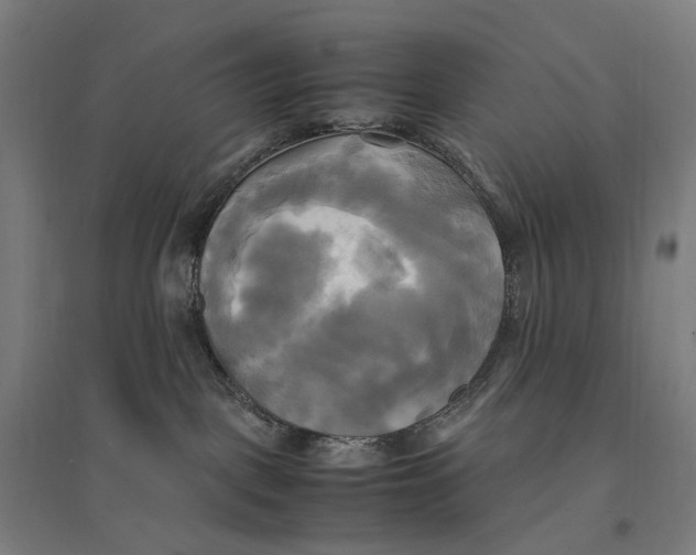 X0000095120093200712301811